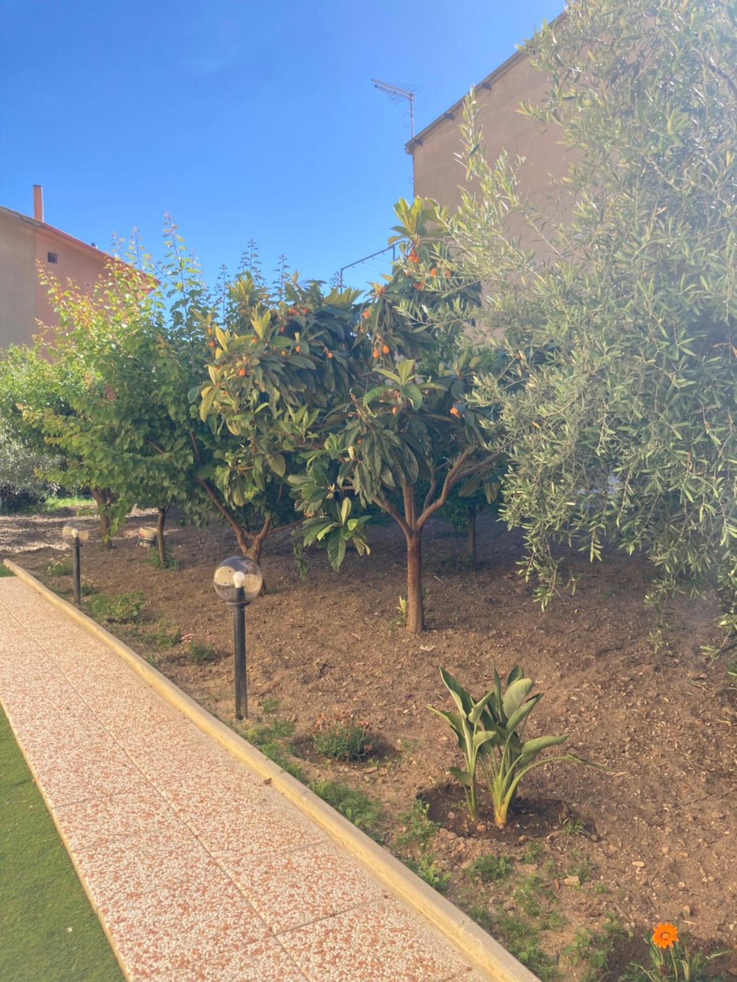 Casa Vacanze Il Giardino Villamassargia Dış mekan fotoğraf